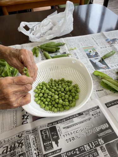 有料老人ホーム 日中の過ごし方
みんなでお手伝いした豆むき。