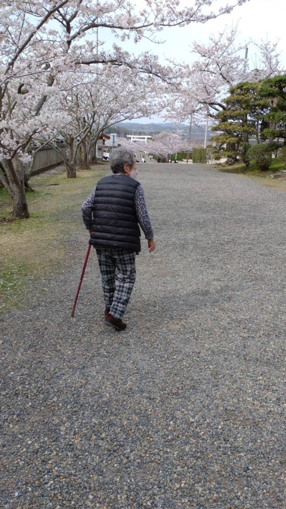 安房神社へお参り　デイサービス・有料老人ホームの利用者さんとお花見小旅行