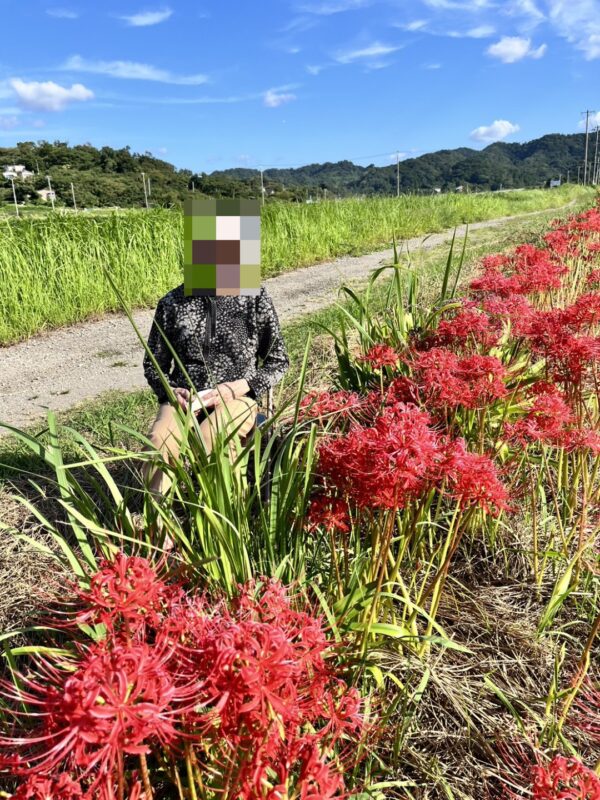 デイサービスセンター　お彼岸　彼岸花