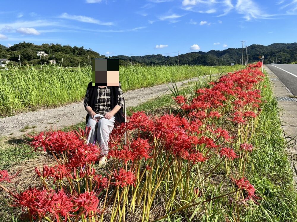 デイサービスセンター　お彼岸　彼岸花